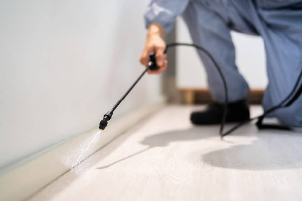 Certified termite inspector examining foundation in Hastings-on-Hudson