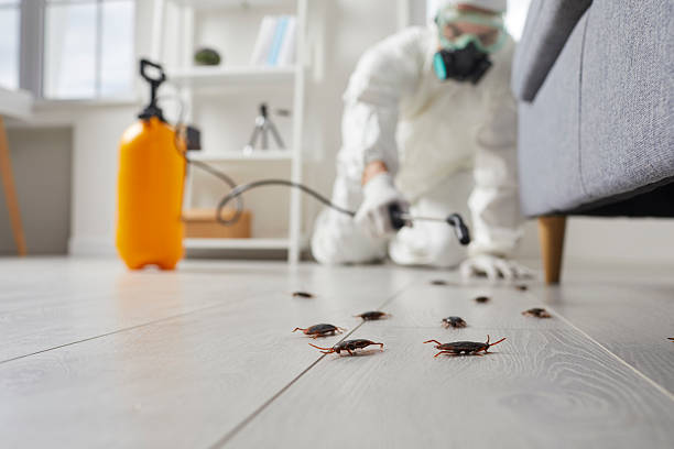 Post-Treatment Bed Bug Interceptor Monitoring in Hastings-on-Hudson